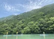 YOKOSO 3